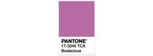 purple How to Add New Pantone Colors