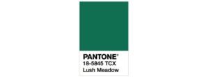medow How to Add New Pantone Colors