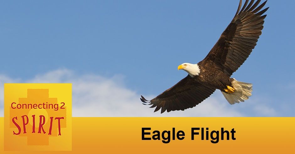 C2S | Eagle Flight