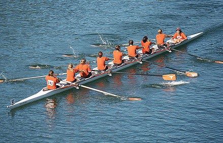 dewittllc.com | What Happens When You Don't Row Together